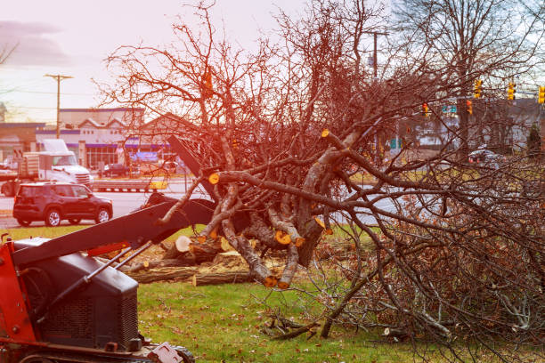 Best Utility Line Clearance  in Gray Summit, MO